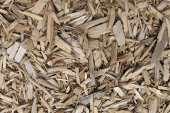biomass boilers Rye