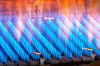 Rye gas fired boilers